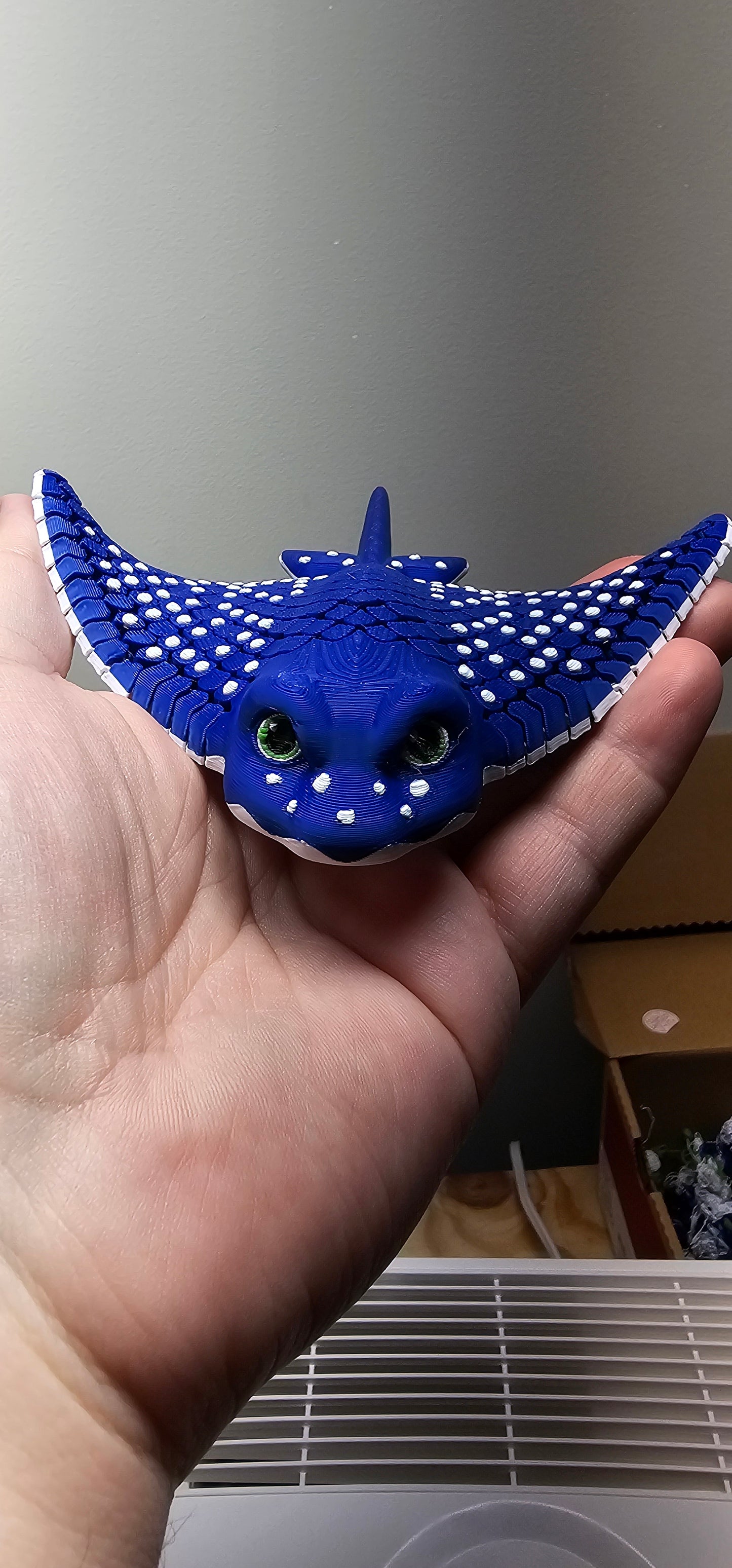 Igor, the Spotted Eagle Ray