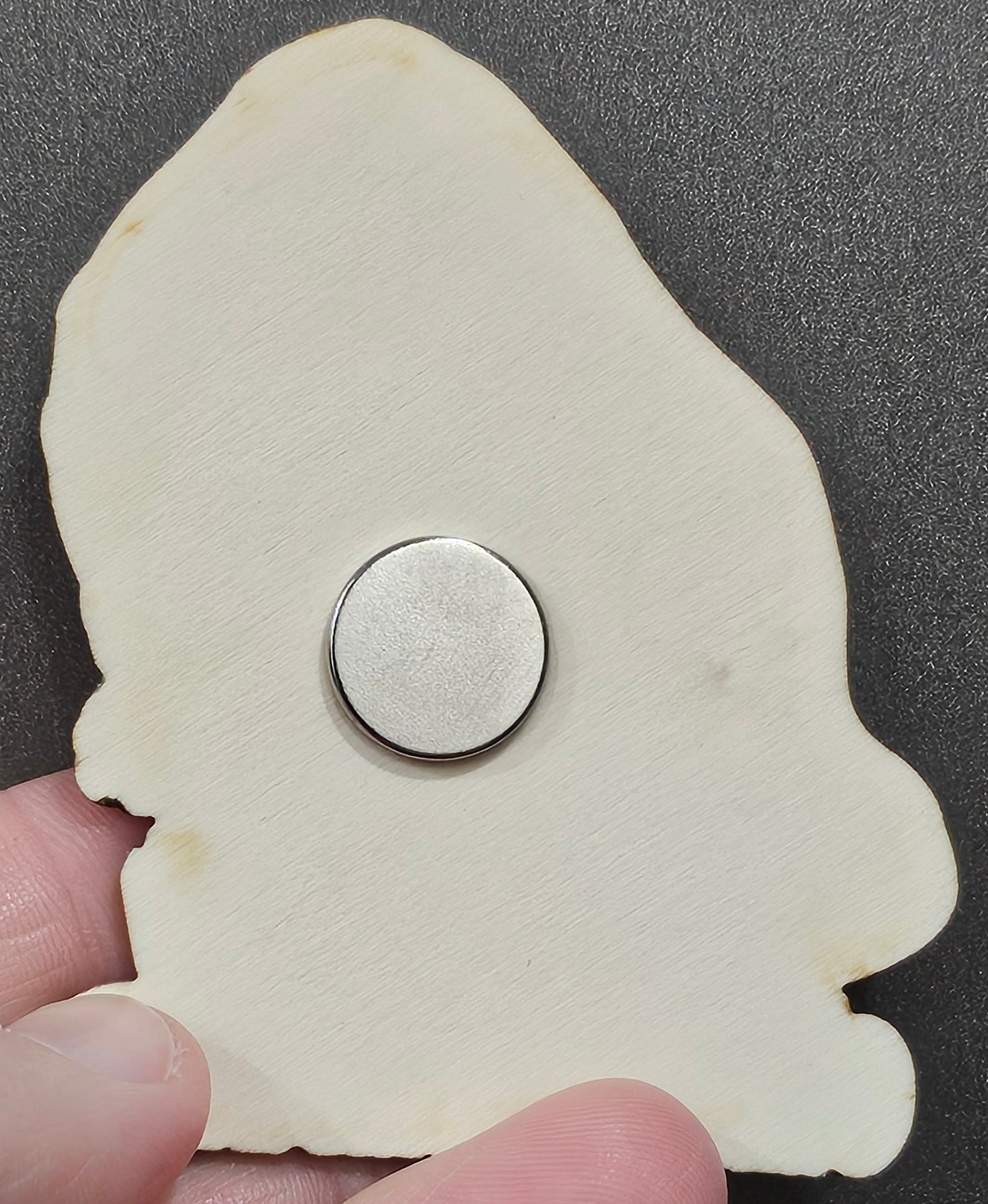 Can I pet that dog? Magnet