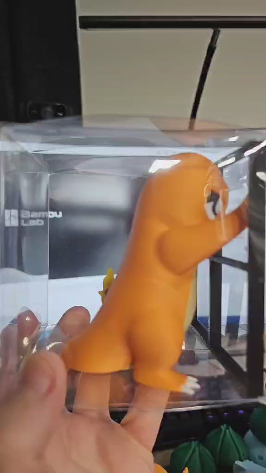 Grumpy Window Charmander